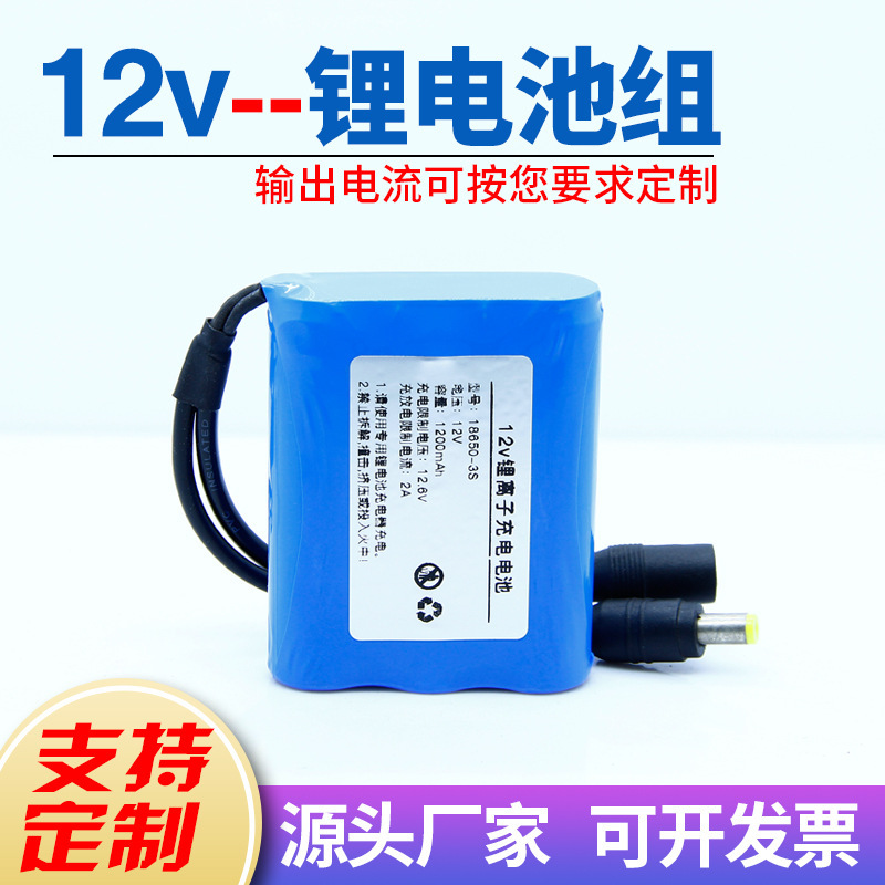 12V Lithium Battery 12 Volt Outdoor Solar Light 18650 Lithium Battery Monitoring Street Light 5525 Dual Dc Terminal Head