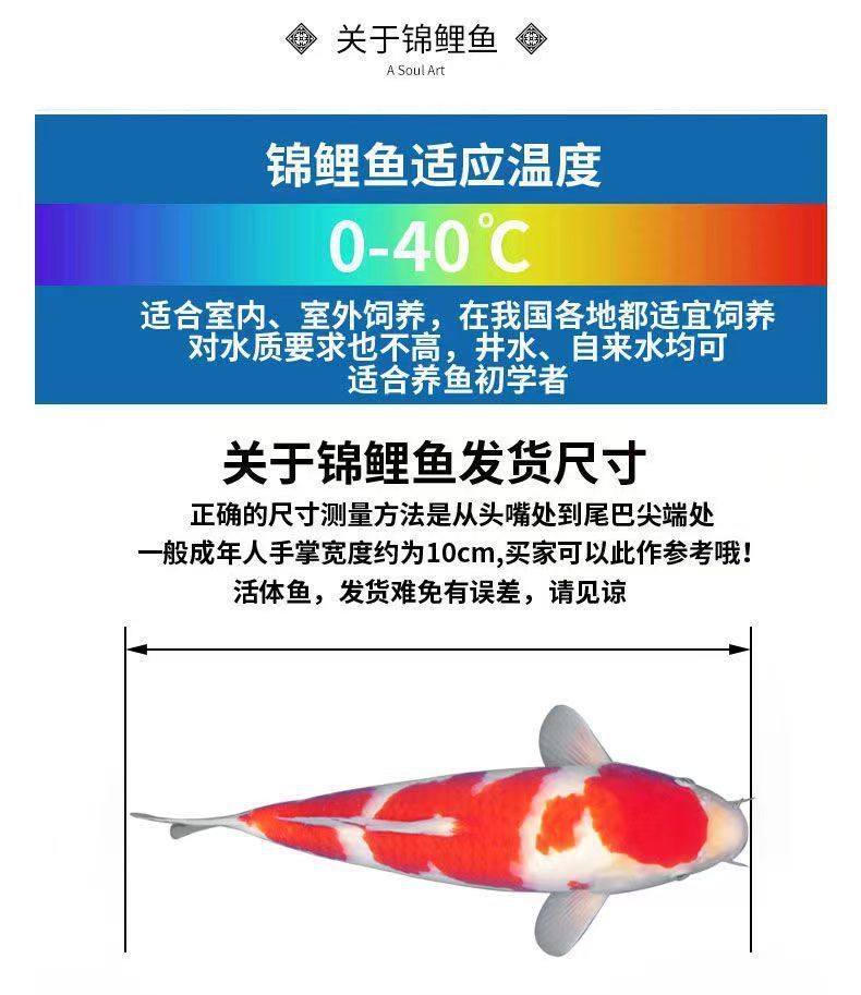 8e2b4e20-a7a4-4220-a99e-be1fa38f74ca.jpe