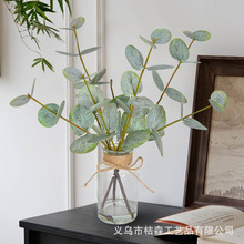 �ȼ����~����Gֲ���Խ��X�~�Ƶ�Ҿ������b�֧3D��ӡ�ȼ���