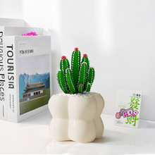 �����ƶ��������k���ҷ�ݗ��ֲ���҃���ꎺ��B�����f��ɽ����Gֲ