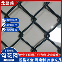 �����WƬ  ���@�r�����o����  �����W��\�Bֳ�����F�z�W