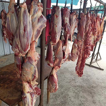 Sţ rţ ţߗl ţ ţ ţ ţǰ