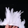 White 6-8-inch white swimming cloth belt is about 1 meter