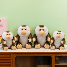 跨境北尾豚猴公仔毛绒玩具女孩床上陪睡玩偶暖心陪伴女友生日礼物