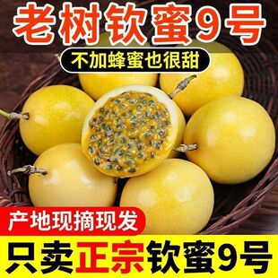 �V���J��9̖�S���������rˮ�����������������]��ԭ�����ϝ{