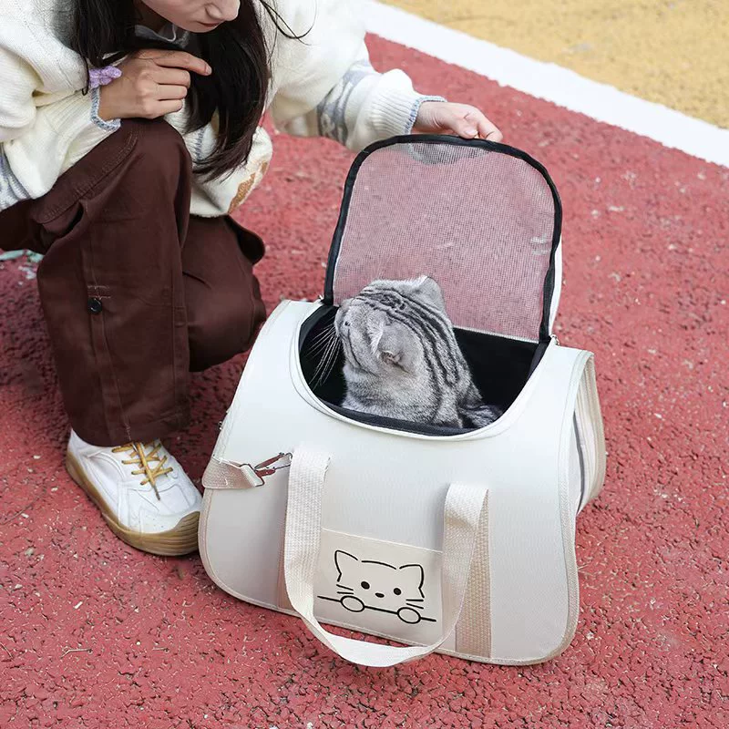 «(Cross-border trading), handheld portable capacious backpack to go out, shoulder bag»