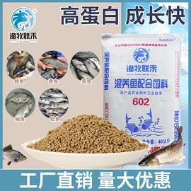 动物性饲料;观赏鱼饲料