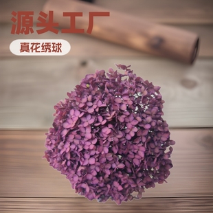 Yunnan Anna Hydrangea Preserved Flowers Dried Flowers Real Flowers Home Decoration Wedding Arrangement Factory Wholesale Preserved Flowers Wholesale