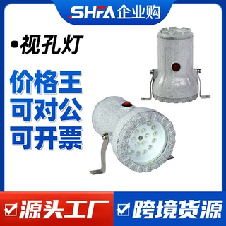 定制 防爆视孔灯BSD化学容器LED视孔灯12V24V36V220V反应釜视镜灯