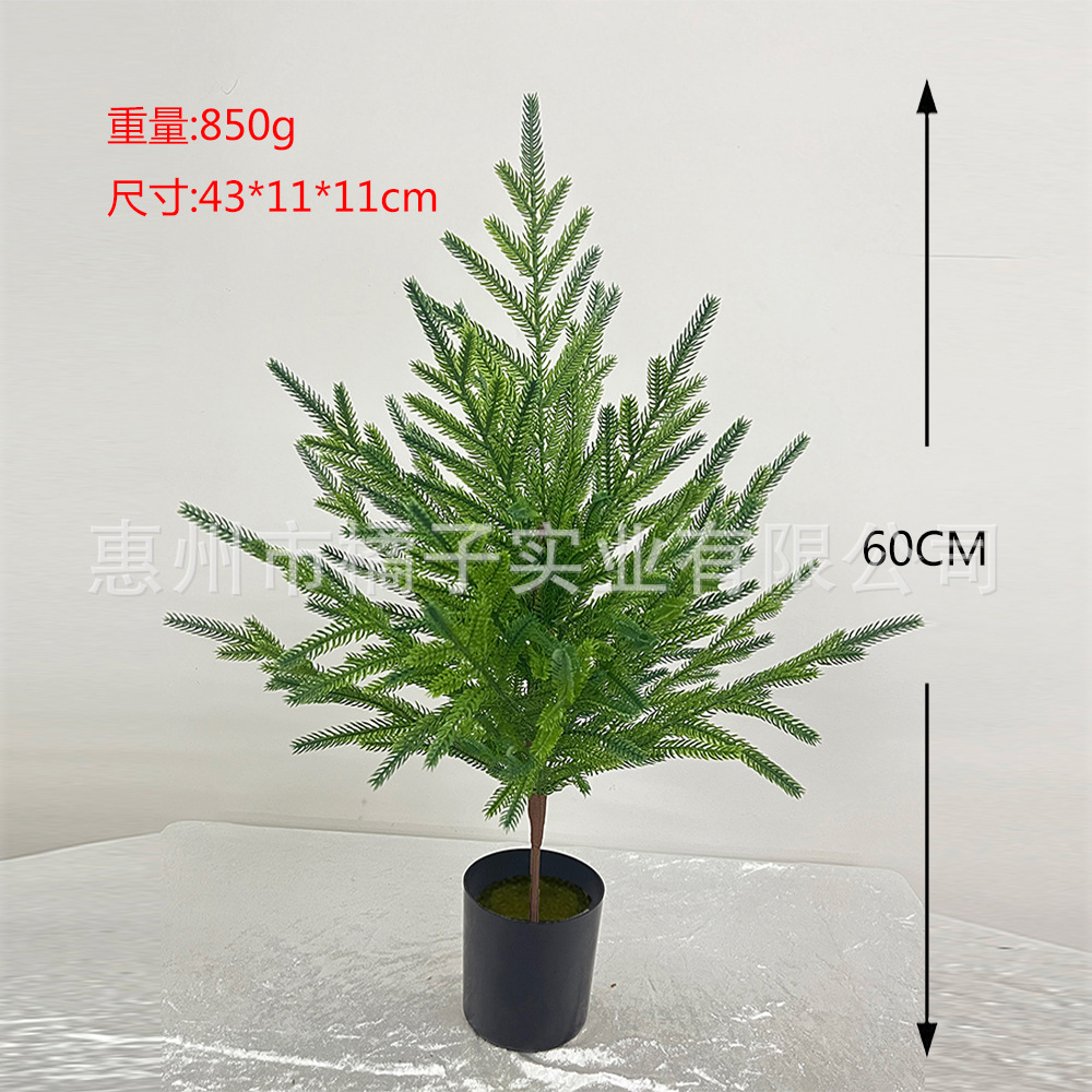 60cm 뉴 노퍽 화분 [재고 있음, 대신 배송 가능]