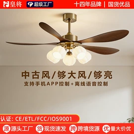 风扇灯;电风扇;吊扇