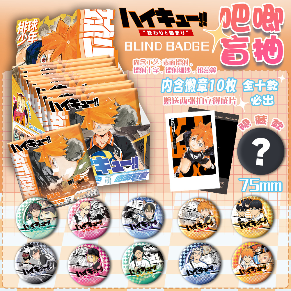 배구 주니어 뱃지 [1박스에 10발]