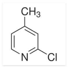 2-氯-4-甲基吡啶,97 % Cas号：3678-62-4