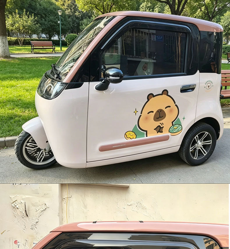 Suitable for Shenghao Mili E01Pro Electric Three- and Four-Wheel Mobility Scooter Window Rain Shield