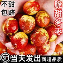 冬枣陕西大荔新鲜水果应当季大枣脆甜青枣整箱5斤枣子顺丰特大3斤