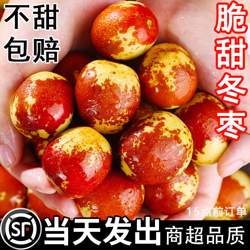 冬枣陕西大荔新鲜水果应当季大枣脆甜青枣整箱5斤枣子顺丰特大3斤