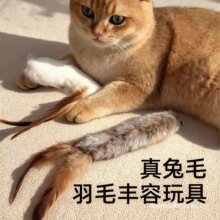 &radic;��Ȼ��ëë�q��ߚ�ζ�S�����˽␞��ë�x�`����؈��βë�l؈��