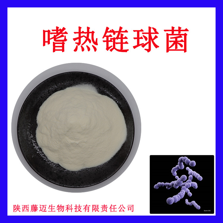嗜热链球菌 100亿-1000亿cfu现货益生菌冻干粉包邮乳酸菌粉