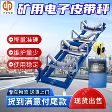 诚意出售ICS14电子皮带秤 货源充足称重给煤机 ICS14电子皮带秤