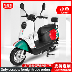 超ロング航続クロスボーダー雅迪同型亀成人電気自動車代歩バッテリー60/72通用源工場