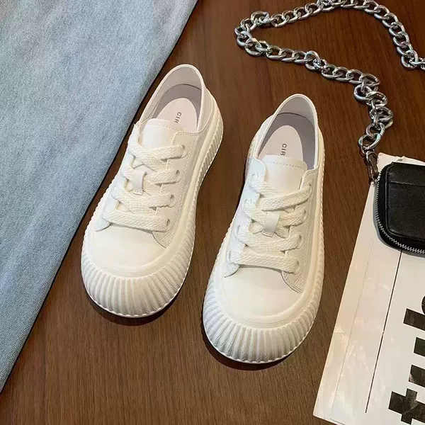 White 231