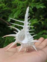 ؐ�����ݰ��L�����~���b�Ʒ�쾰����[��ˮ���^Ů�׹��ݘ˱�����