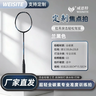 WEISITE羽毛球拍定制全碳素全能型初学者训练高颜值超轻耐打单拍