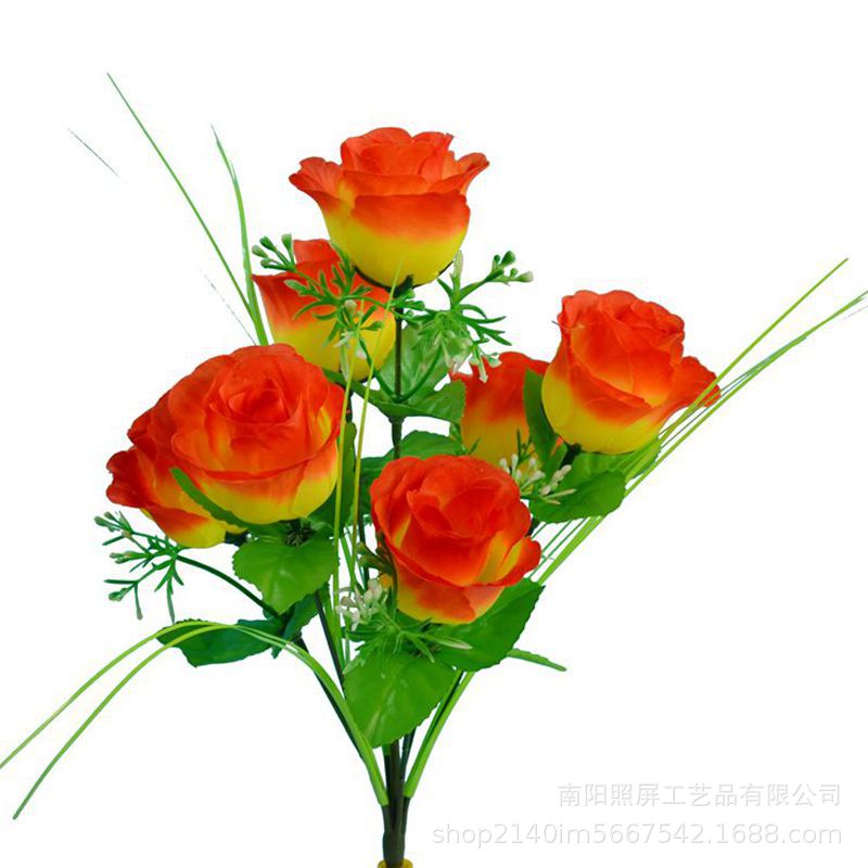 7头孔雀玫2.jpg