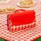 Paishilong 600D Thickened Waterproof Oxford Cloth picnic mat Outdoor Travel Camping Party Moisture-proof Floor Mat Foldable
