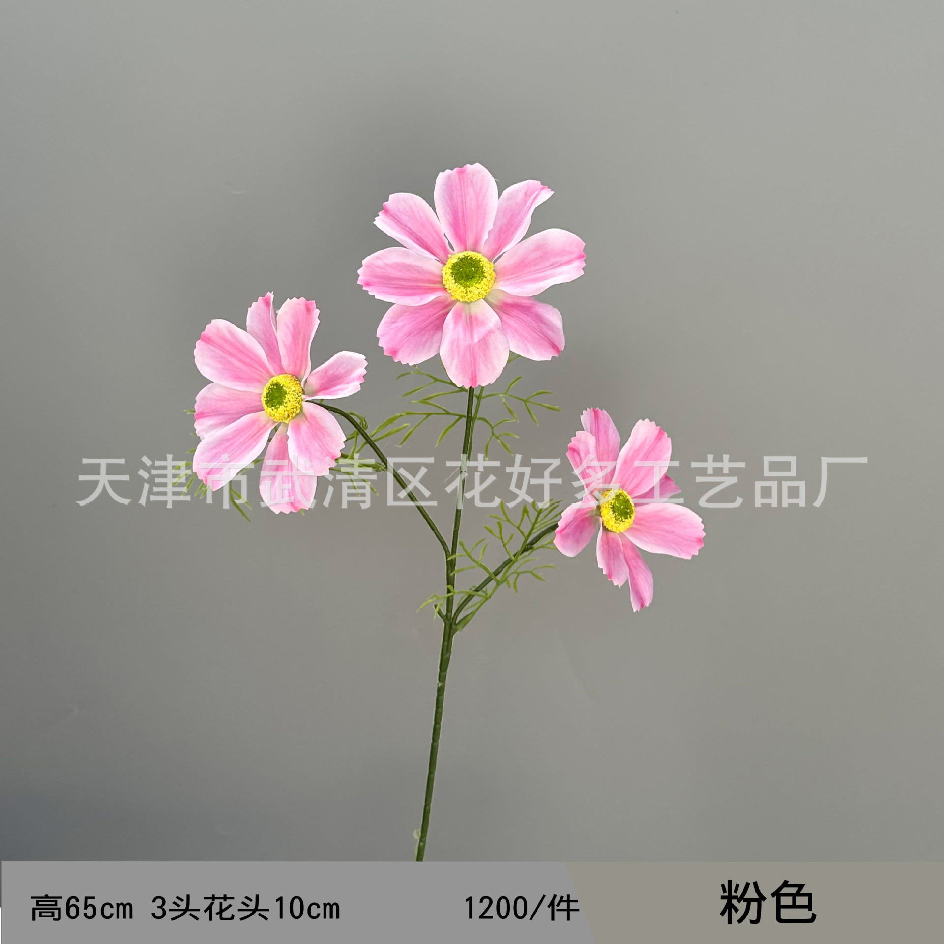 분홍색