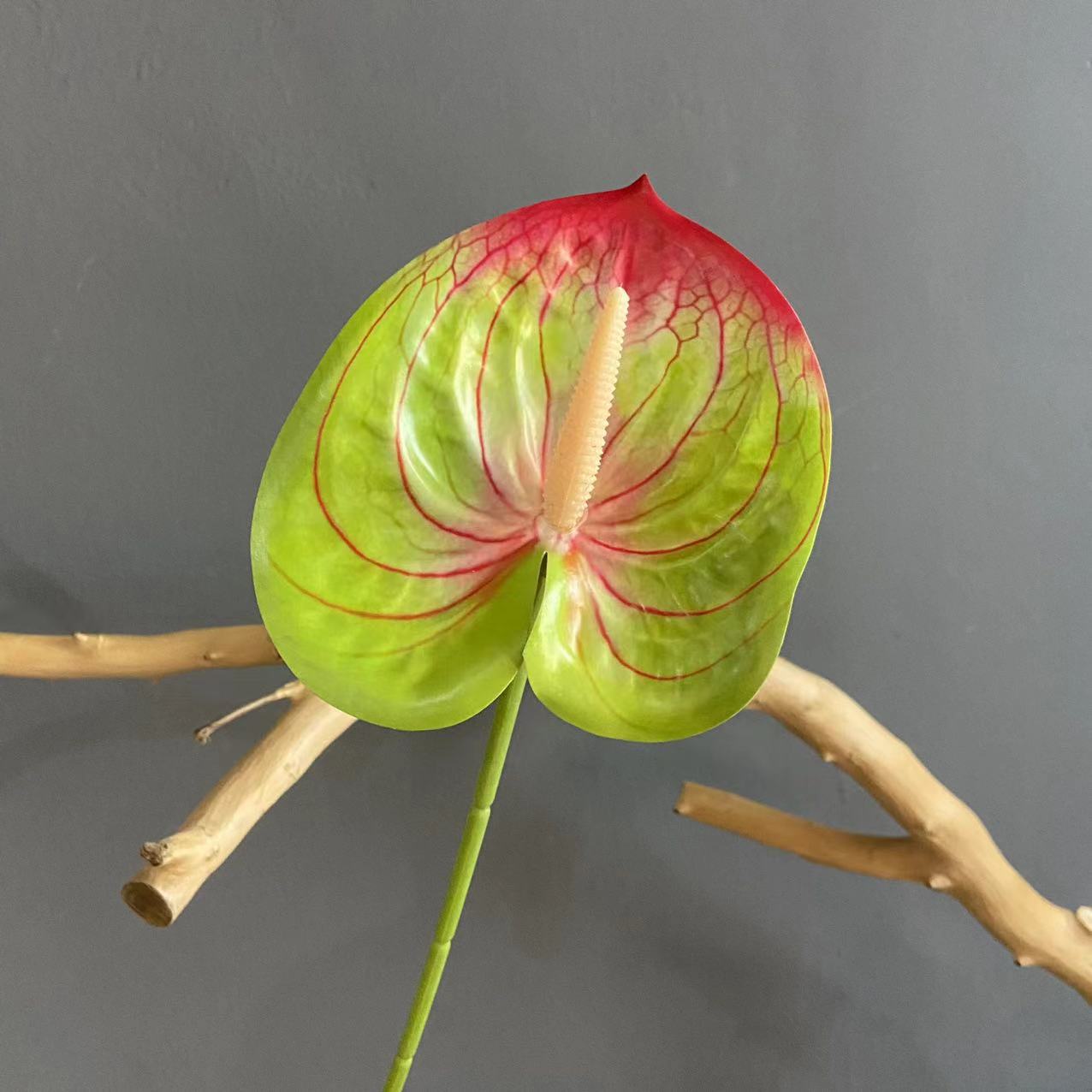 #16 (색상 당 10 개의 스틱 픽업, 덜 쏘지 마십시오)