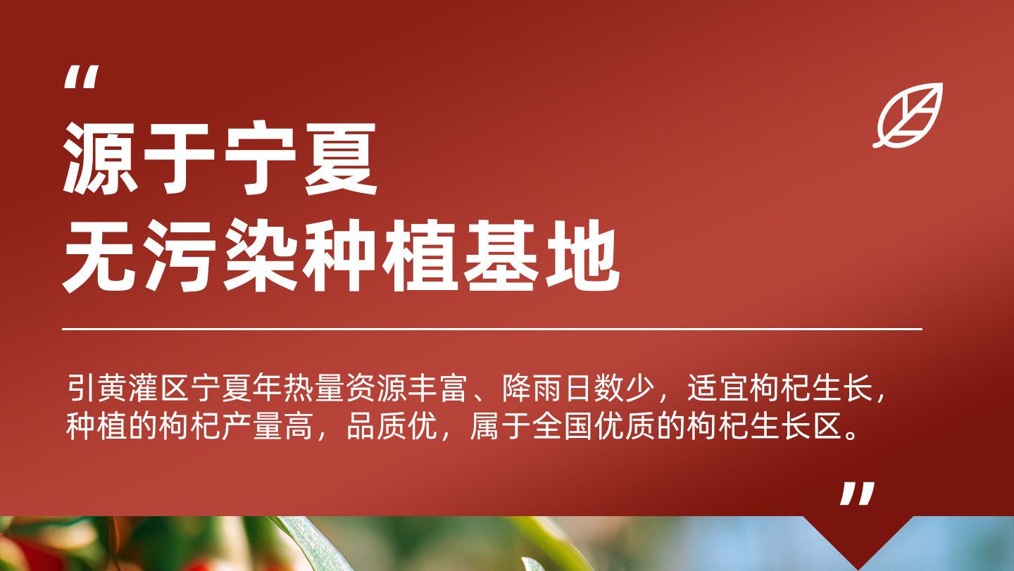 Ningxia Goji Berries Gou Qi Zi Premium Large Dried Fruit 200g for Tea and Cooking overview