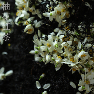 ��Ӆ^  񿻨�t��ײ������ԇ��b �ҵ���ϲ�g�Ĳ� �M88��