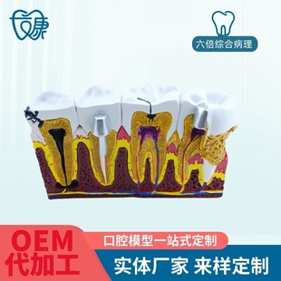 �C�ϲ���ģ�ͳ������� �������Xģ�� �������񽛿�ǻ���ƽ̌W�[��