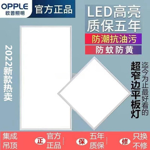 Opal Integrated Ceiling Light Toilet Light Kitchen Light Aluminum Gusset Ceiling Light Flat Light