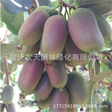 ���۾G�S�īJ���Ҙ��ܛ���J������������ϱ����Nֲˮ������Y��