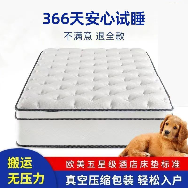 Hilton Five-Star Hotel Mattress Independent Spring Cushion Compressed Thick Simmons Roll-Packed Hard Cushion Home Double Hilton Five-Star Hotel Mattress Independent Spring Cushion Compressed Thick Simmons Roll-Packed Hard Cushion Home Double