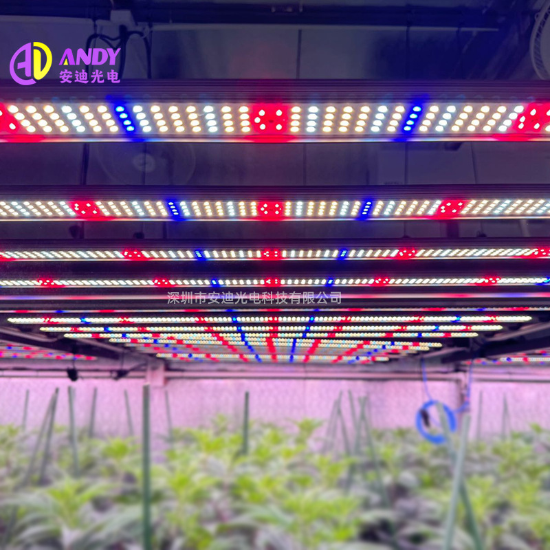 Plant growth light 240w 320w 480w 640w 720w 800w 1000w 281b chip plant light