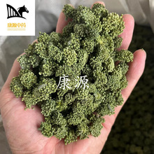 【康源】三七花 田七花一斤价格 精选优质三七花云南特产名贵药材