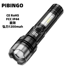 2025�羳�¿�@�D������s׃�����ʏ������Ͳ�t�{���W���Ͳ