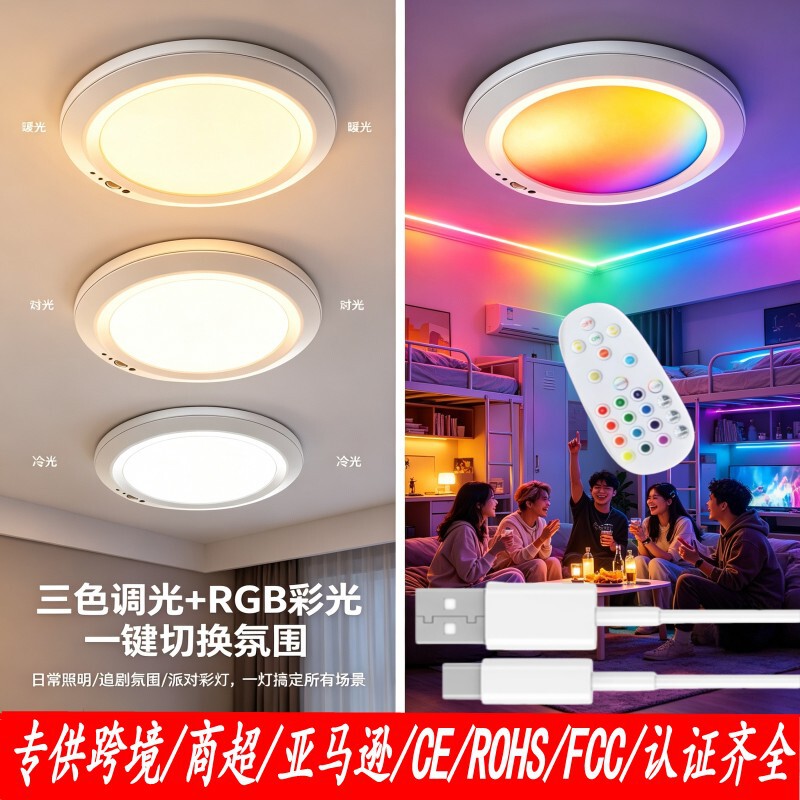 Cross-Border Amazon Wireless Battery-Powered Rechargeable Ceiling Lamp Home Decoration Human Body Sensor Lamp Home Dormitory Corridor Lamp