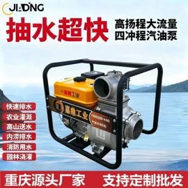 汽油发电机组;自吸泵;内燃机