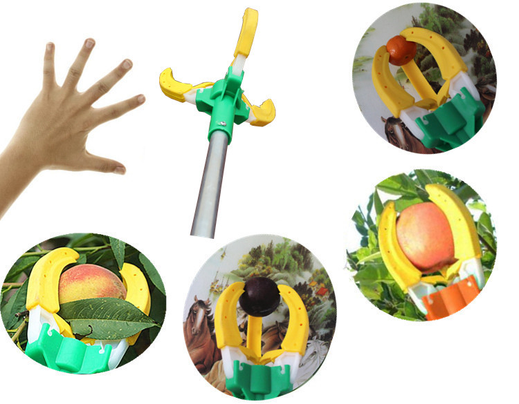 TB2u.eXgZnI8KJjSspeXXcwIpXa_!!