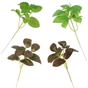 �S�����l���污���~ ����ֲ���֦�ҾӾGֲ�٘��~�쾰�b��_���~