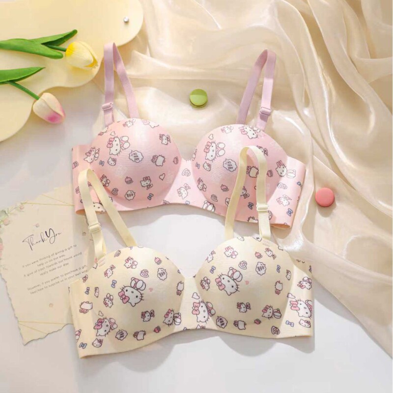 New Cute Japanese Style Girl Style Hello Kitty Sweet Intimates Small Breast Push-Up Pure Lust Sexy Bra