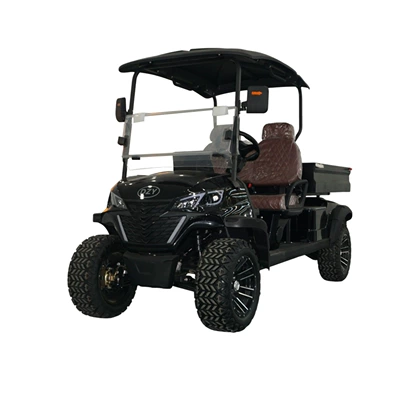 Electric Patrol Vehicle, Elektrikli qolf avtomobilləri
