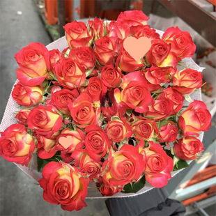 ��ɫ�űȶ��^õ���r�����������������ֱ�lͬ�����f��ˮ�ٺϲ廨