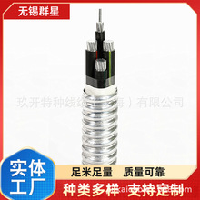 Ⱥ| YJV22zb|YJV|YJV 3*16+1*10 YJV 3*25+1*16