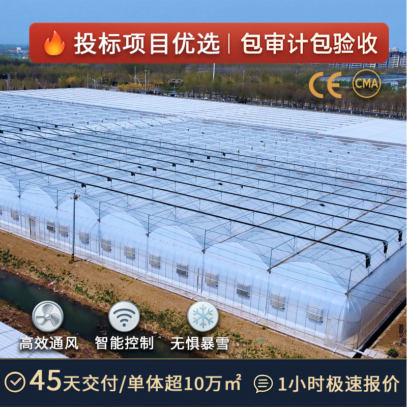 Greenhouse Smart Farming for Flowers and Vegetables, Agricultural Planting Greenhouse Frame, Simple Film-Connected Multi-Span Greenhouse