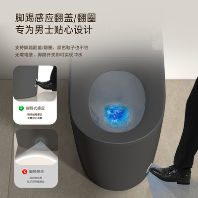 黑色全自動智能馬桶|遙控|恒溫智能|一體式通用|烘乾殺菌|語音泡沫盾|座便器